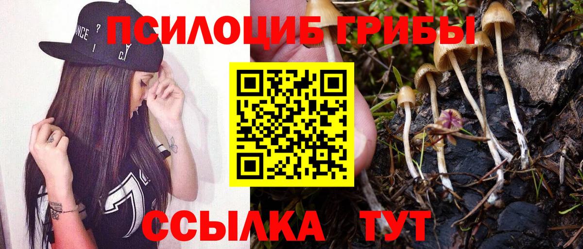 Псилоцибиновые грибы Cubensis  Вход с VPN  Тула 